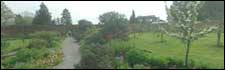 Berrington Hall - the walled garden