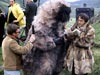 troughton26