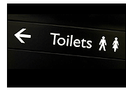 toilet terror