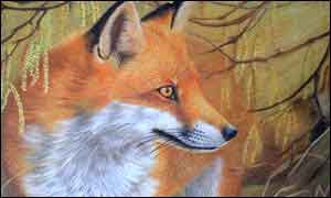 Fox by Valerie Briggs