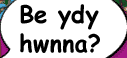 Be ydy hwnna?