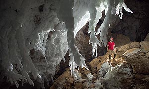 A scene from Planet Earth