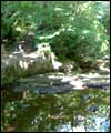 Rivelin Valley