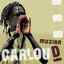 Review of Muzikr  