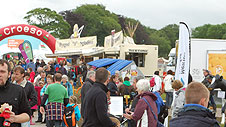 Coedwig uwchlaw maes Eisteddfod yr Urdd 2012