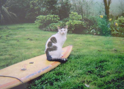 Jo Whiley's Bored-masters