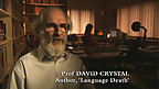 Future of the Welsh Language - Optimism