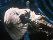 Chiana