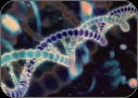 DNA