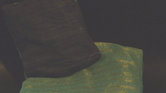 Eco cushion