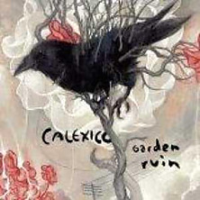 Review of Garden Ruin