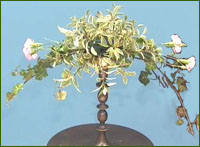 put flowers in to each side of the oasis