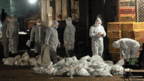 目前在中国已经有14人感染H7N9病毒，其中6人死亡。