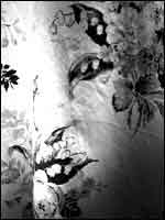 Photograph by Peter Corkhill