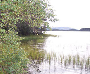 Loch Gartain