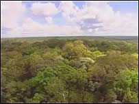 Amazônia