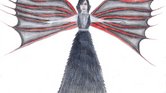 Death angel Death angel