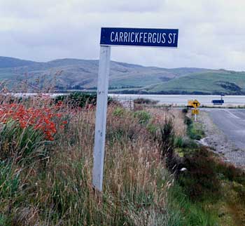 Carricfergus Street - where in New Zealand is this?