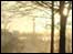 Misty river