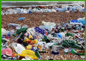 rubbish on a beach