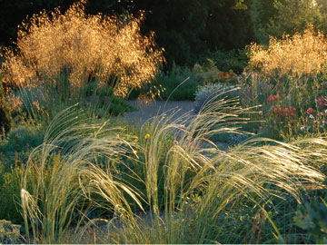 The Gravel Garden