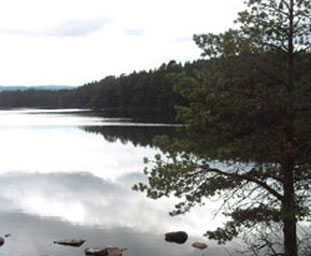 Loch Garten faisg air An Tulach 