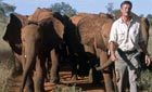 Jonathan Scott with Emily's herd ©Lissa Ruben