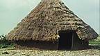 Celtic Village - Round Houses
