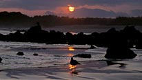 Sunset on the Galapagos islands