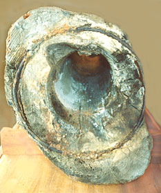 Cross-section of a wooden water pipe