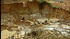Gold Mining in the Amazon Tropical Rainforest