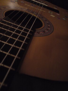 Guitar Body