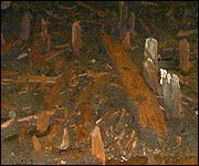 The preserved remains of a huge timber monument