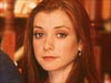 Willow