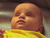 Baby Connor