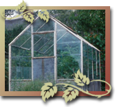 Greenhouse