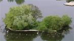 Llangorse lake