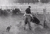 Gaucho Cymreig wrth ei waith yn y 1960au