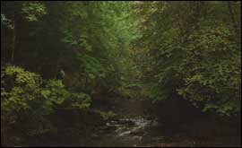 River Lyd