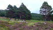 Stones in the ground show the remains of Ryntean township