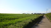 Sunshine over...