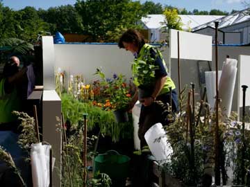 New Hall Garden at Chelsea Flower Show