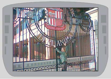 Nemone in Sunderland