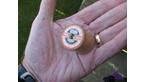 cotton reel