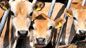 cows