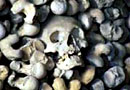 Black Death