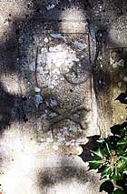 Skull & Cross-bones - examples of Mortality Symbols
