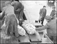 Liverpool dockers