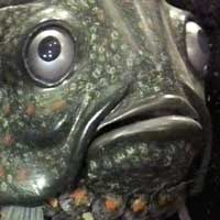 Teufel the Fish God is staring at you