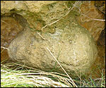 Rock in the Ball Bed